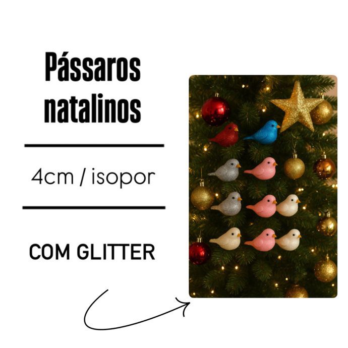 24passaros 1